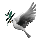 dove_with_olive_branch_lg_clr.gif