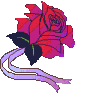 wedding-010.gif